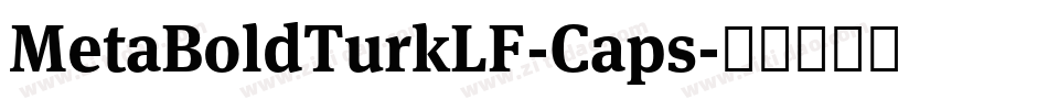 MetaBoldTurkLF-Caps字体转换