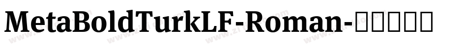 MetaBoldTurkLF-Roman字体转换
