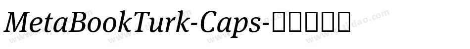 MetaBookTurk-Caps字体转换