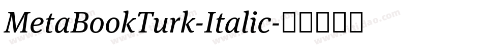 MetaBookTurk-Italic字体转换
