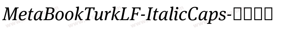 MetaBookTurkLF-ItalicCaps字体转换
