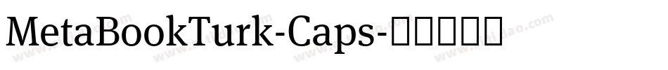 MetaBookTurk-Caps字体转换