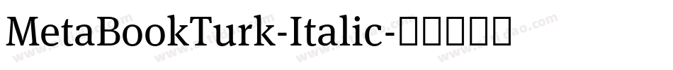 MetaBookTurk-Italic字体转换