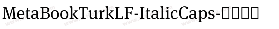 MetaBookTurkLF-ItalicCaps字体转换