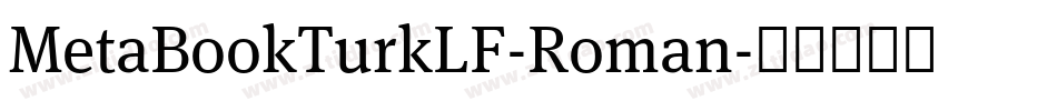 MetaBookTurkLF-Roman字体转换