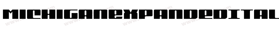MichiganExpandedItalic-mwVj字体转换