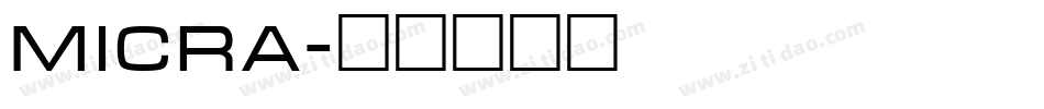 Micra字体转换