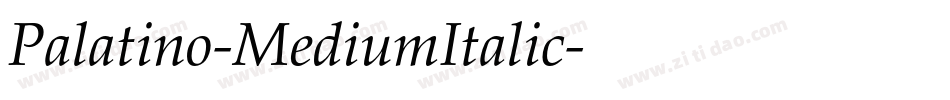 Palatino-MediumItalic字体转换