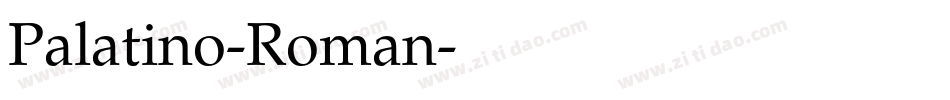 Palatino-Roman字体转换