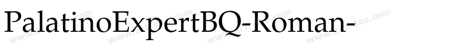 PalatinoExpertBQ-Roman字体转换