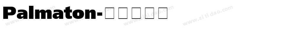 Palmaton字体转换