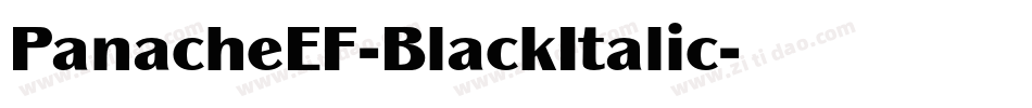 PanacheEF-BlackItalic字体转换