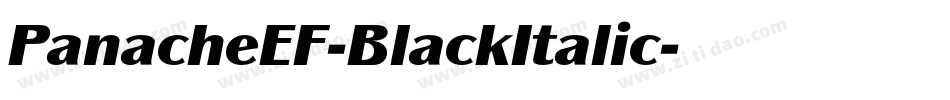 PanacheEF-BlackItalic字体转换