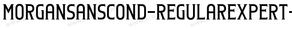 MorganSansCond-RegularExpert字体转换