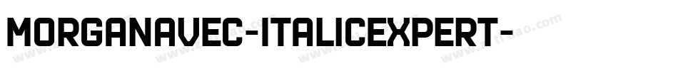 MorganAvec-ItalicExpert字体转换