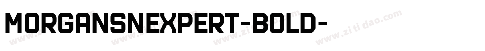 MorganSnExpert-Bold字体转换