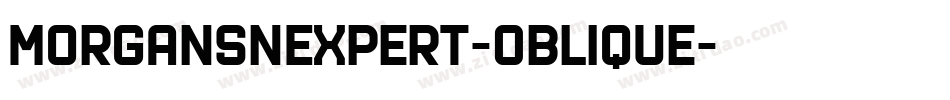 MorganSnExpert-Oblique字体转换