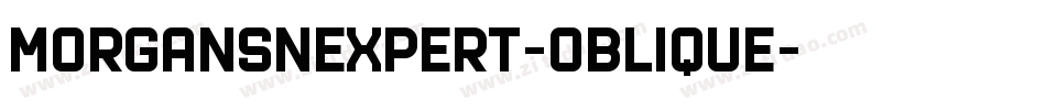 MorganSnExpert-Oblique字体转换