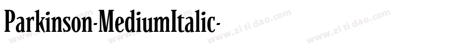 Parkinson-MediumItalic字体转换