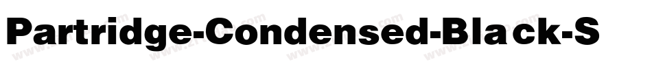 Partridge-Condensed-Black-Se字体转换
