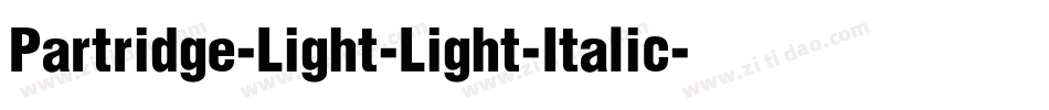 Partridge-Light-Light-Italic字体转换