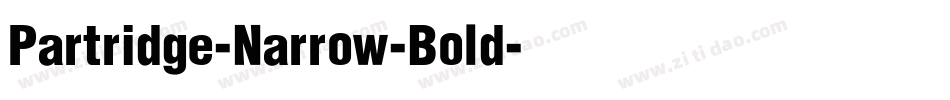 Partridge-Narrow-Bold字体转换