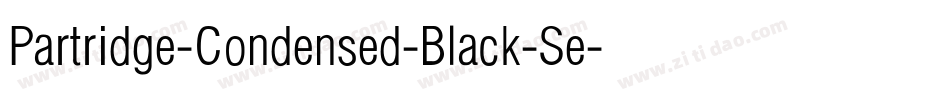 Partridge-Condensed-Black-Se字体转换