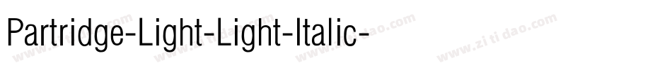 Partridge-Light-Light-Italic字体转换