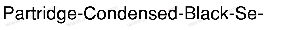 Partridge-Condensed-Black-Se字体转换