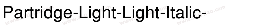 Partridge-Light-Light-Italic字体转换