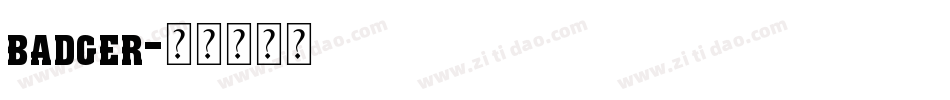 badger字体转换