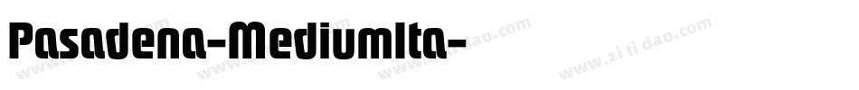 Pasadena-MediumIta字体转换