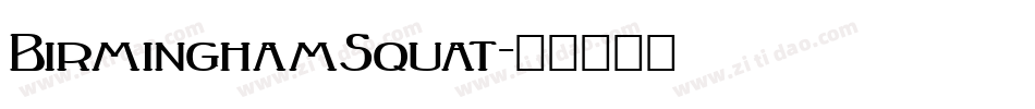 BirminghamSquat字体转换