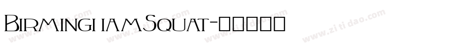 BirminghamSquat字体转换
