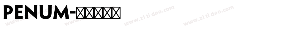 penum字体转换