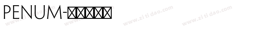 penum字体转换