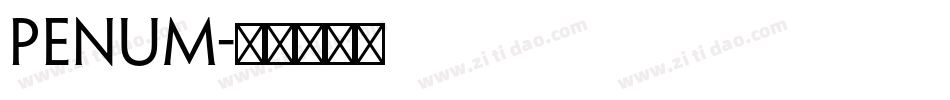 penum字体转换