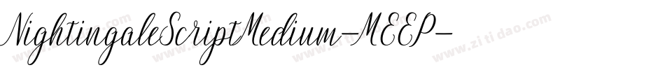 NightingaleScriptMedium-MEEP字体转换