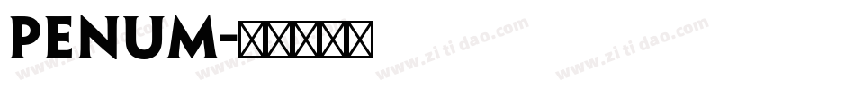 penum字体转换