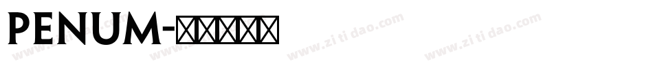 penum字体转换