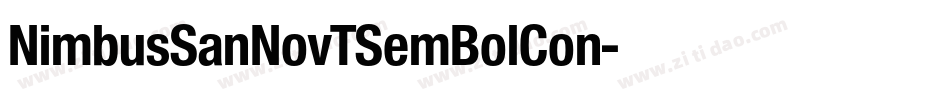NimbusSanNovTSemBolCon字体转换