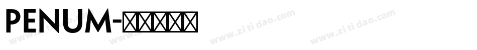 penum字体转换