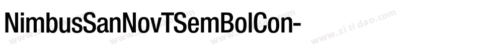 NimbusSanNovTSemBolCon字体转换