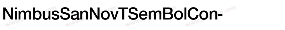 NimbusSanNovTSemBolCon字体转换