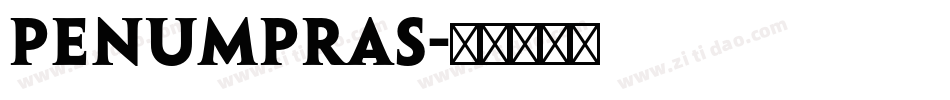 penumpras字体转换