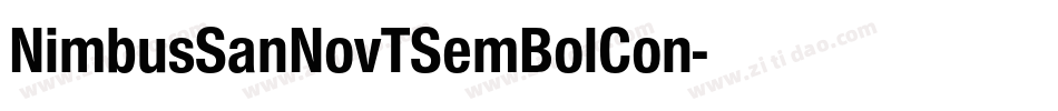 NimbusSanNovTSemBolCon字体转换