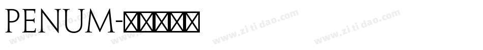 penum字体转换