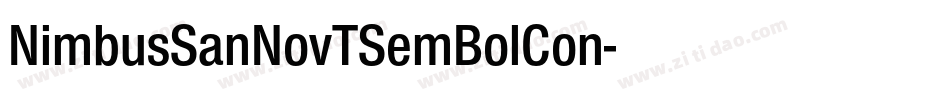 NimbusSanNovTSemBolCon字体转换
