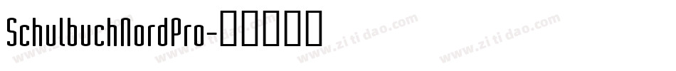 SchulbuchNordPro字体转换