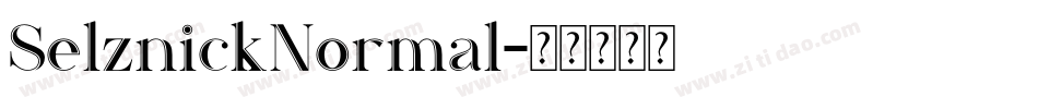 SelznickNormal字体转换